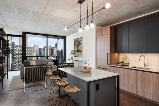 234 W Polk Street 3906, Chicago, IL 60607