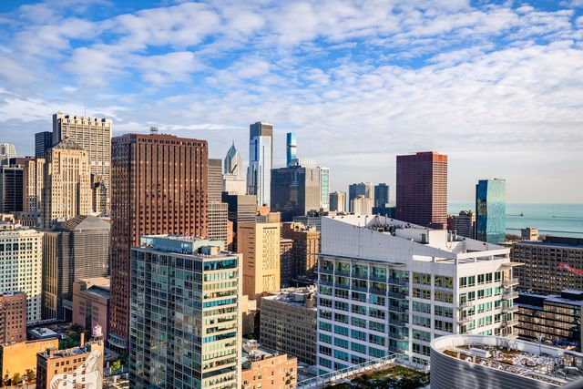 234 W Polk Street 3906, Chicago, IL 60607