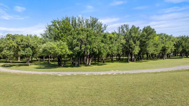 15403 Mule Branch Court, Lipan, TX 76462