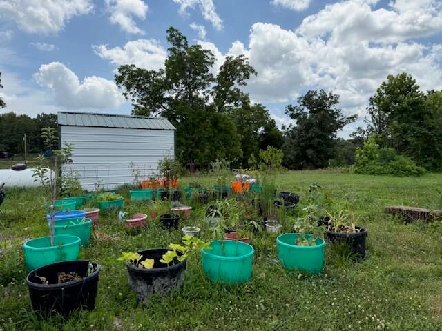 1498 Ra Highway, Mountain View, MO 65548