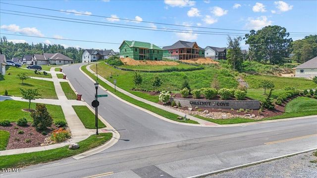 1157 Brumit Fields, Johnson City, TN 37615