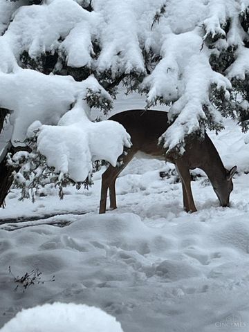 7628 Lesourdsville West Chester Road, West Chester, OH 45069