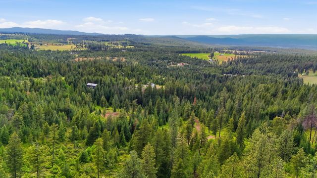 11532 E Antler Rd, Chattaroy, WA 99003