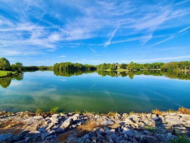 115 Bold Bidder Drive, Georgetown, KY 40324