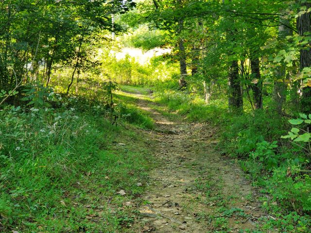115 Bold Bidder Drive, Georgetown, KY 40324