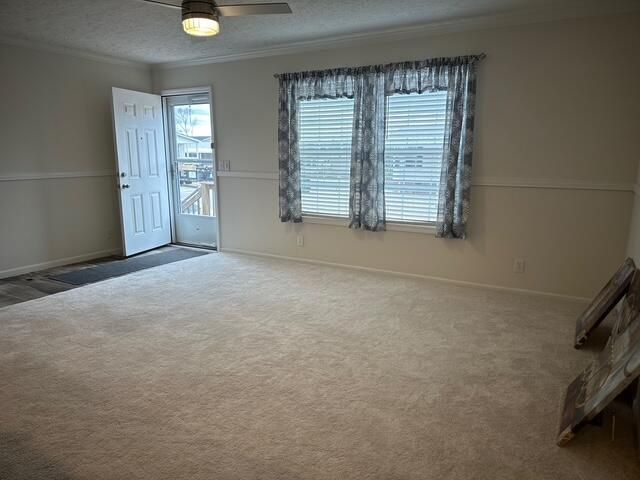 409 Constitution Avenue, Augusta, GA 30907