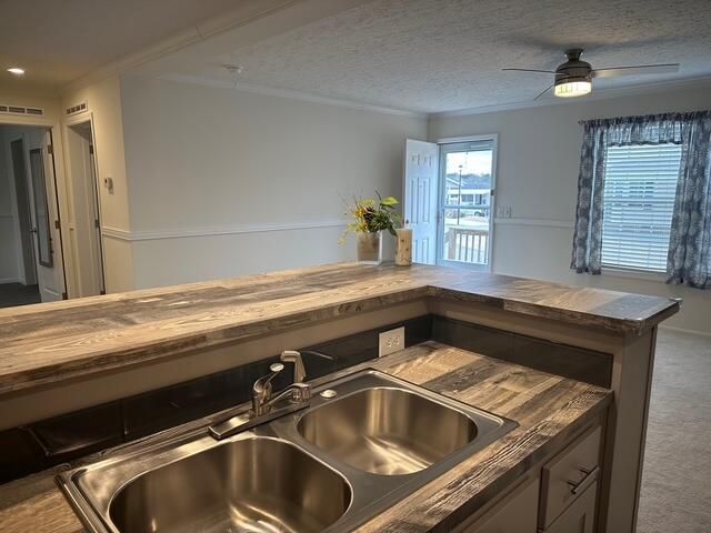 409 Constitution Avenue, Augusta, GA 30907