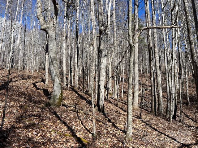 TBD (Lot 3) Poplar Forest Drive, Boone, NC 28607
