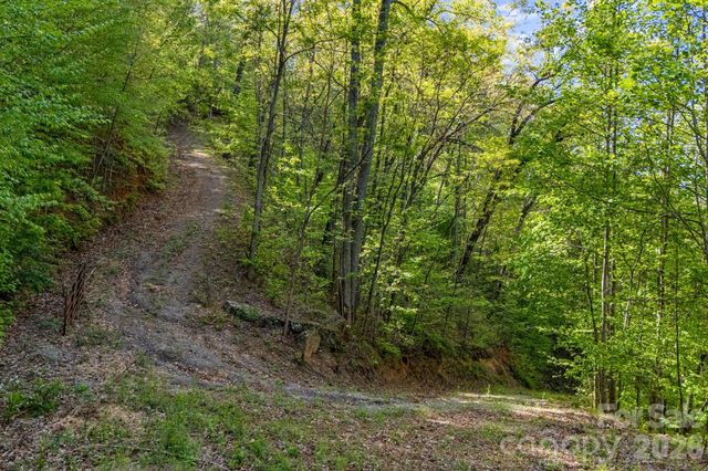 841 Laurel Spring Drive, Bryson City, NC 28713