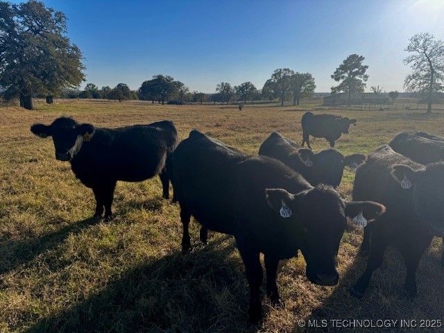 12565 White Rose Road, Thackerville, OK 73459