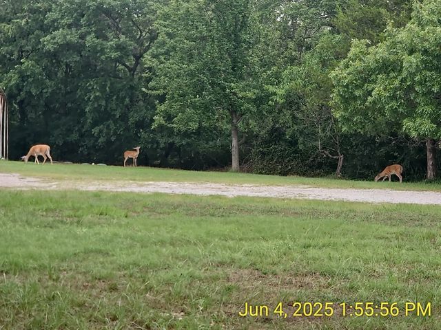 137 Oakview Road, Gainesville, TX 76240