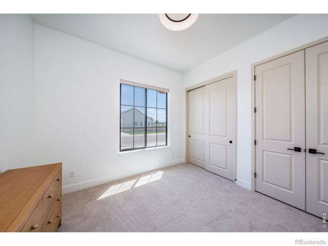 194 Boxwood Drive, Windsor, CO 80550