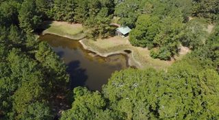 3680 Holly Grove Road, Livingston, TX 77351