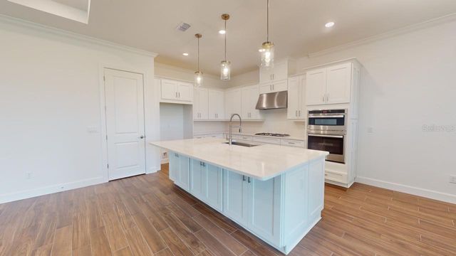 30175 IMPERATI BOULEVARD, Wesley Chapel, FL 33543
