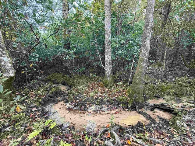 Lot 8 SW Waterfall St, Pace, FL 32571