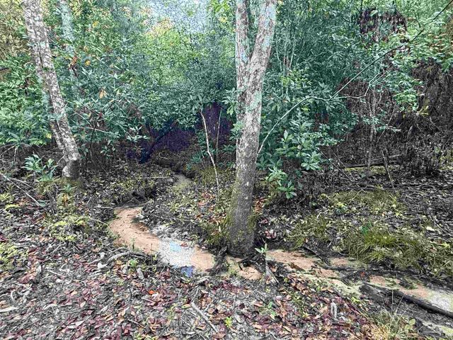 Lot 8 SW Waterfall St, Pace, FL 32571