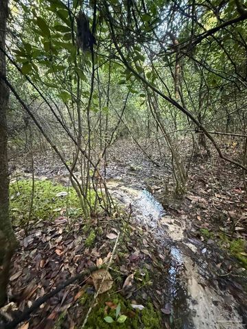 Lot 8 SW Waterfall St, Pace, FL 32571