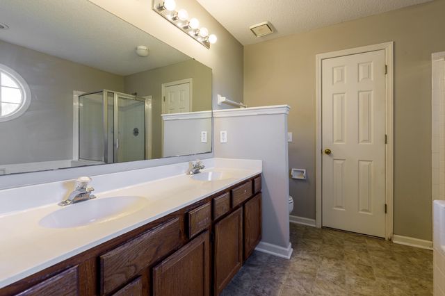 386 Jardinere Walk, Mount Pleasant, SC 29464