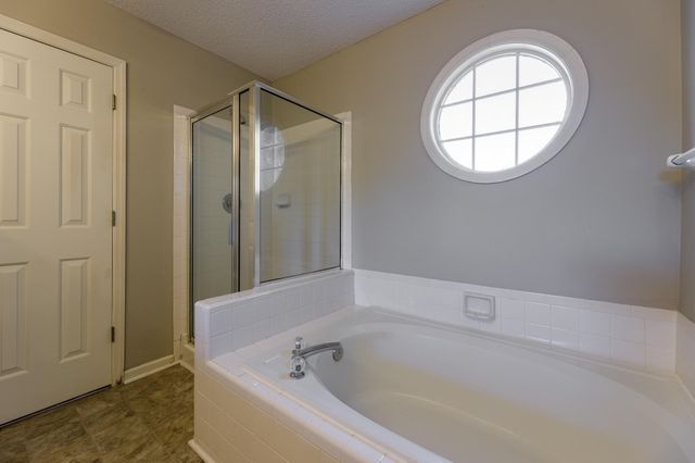 386 Jardinere Walk, Mount Pleasant, SC 29464