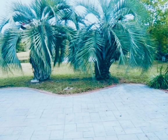 386 Jardinere Walk, Mount Pleasant, SC 29464