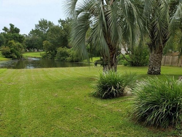 386 Jardinere Walk, Mount Pleasant, SC 29464