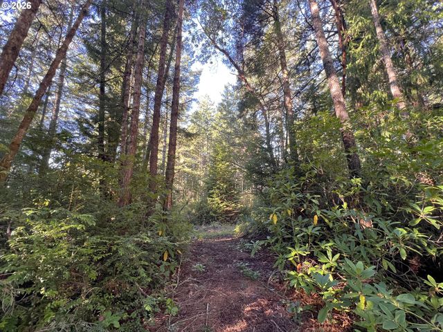 55769 PROSPER JUNCTION Rd, Bandon, OR 97411