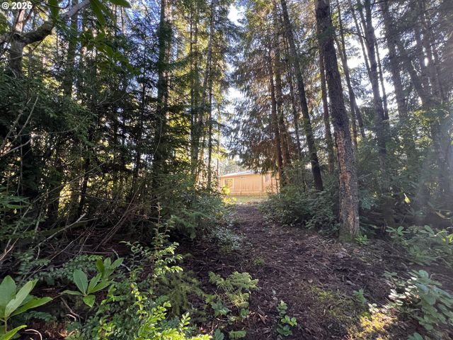 55769 PROSPER JUNCTION Rd, Bandon, OR 97411