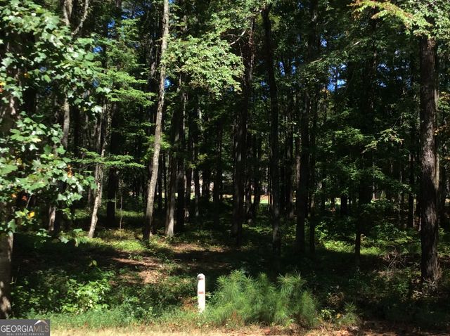 1060 Pinehurst Drive, Greensboro, GA 30642