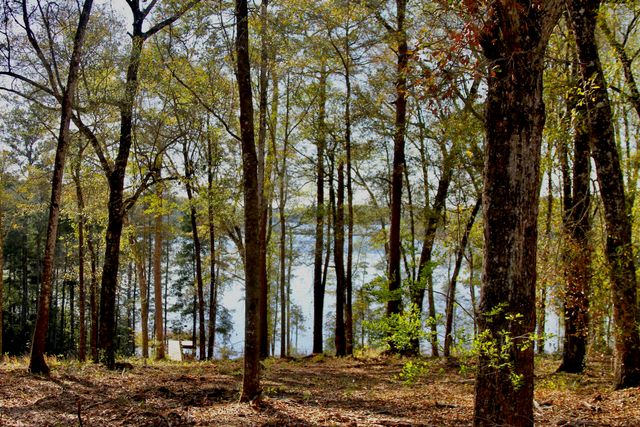 15 Holly Lake Court, Defuniak Springs, FL 32433