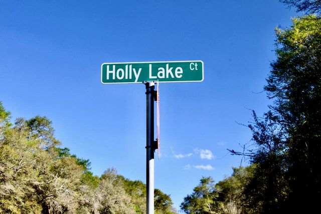 15 Holly Lake Court, Defuniak Springs, FL 32433