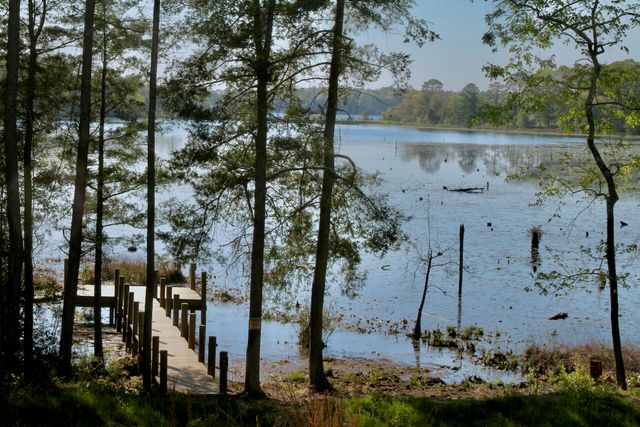 15 Holly Lake Court, Defuniak Springs, FL 32433