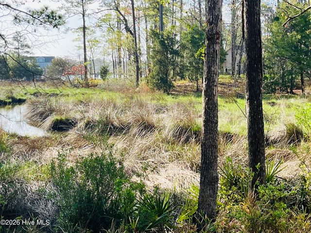 256 Winding Creek Drive, Oriental, NC 28571