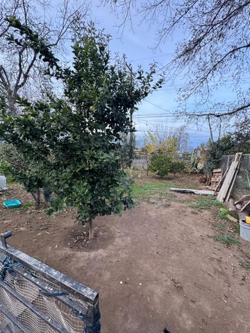 1123 E Garrett Avenue, Fresno, CA 93706