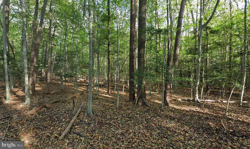 161 YARNICK RD, Great Falls, VA 22066