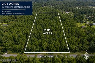 95289 PLUM Loop, Fernandina Beach, FL 32034