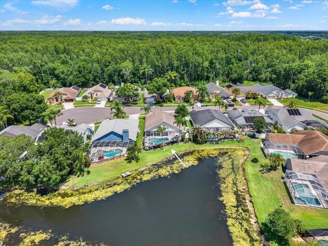 9042 BRELAND DRIVE, Tampa, FL 33626