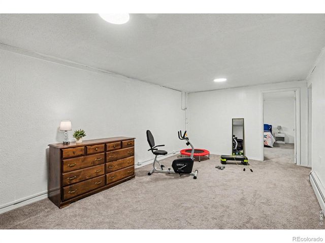 515 7th Street, Windsor, CO 80550