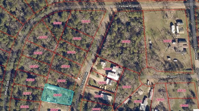 13096 Scarlet Oak, Plantersville, TX 77363