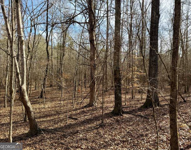0 Neely Road, Sharpsburg, GA 30277