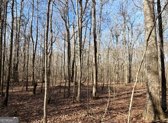 0 Neely Road, Sharpsburg, GA 30277