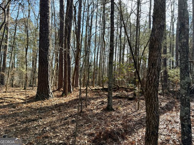 0 Neely Road, Sharpsburg, GA 30277