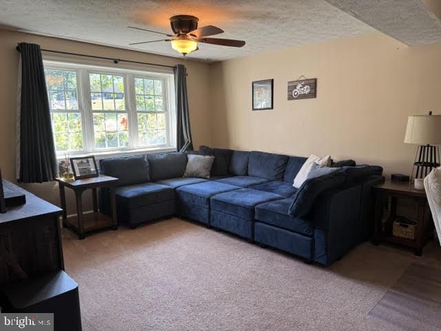 780 LOWER VALLEY RD, Strasburg, VA 22657