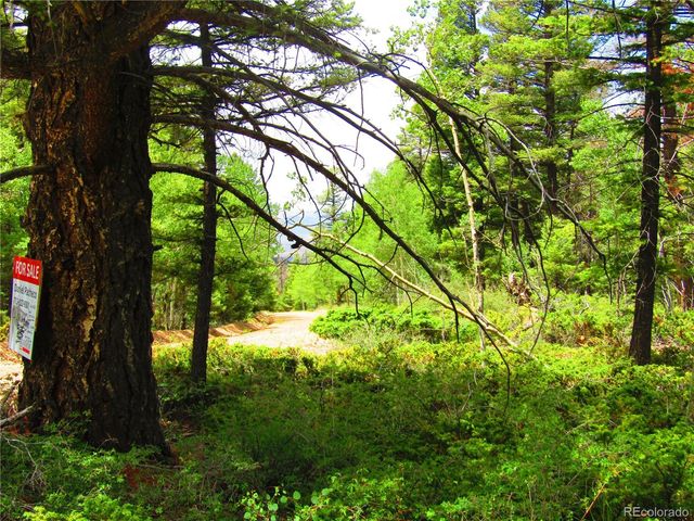 LOT 6082 Stella Road Road, San Luis, CO 81152
