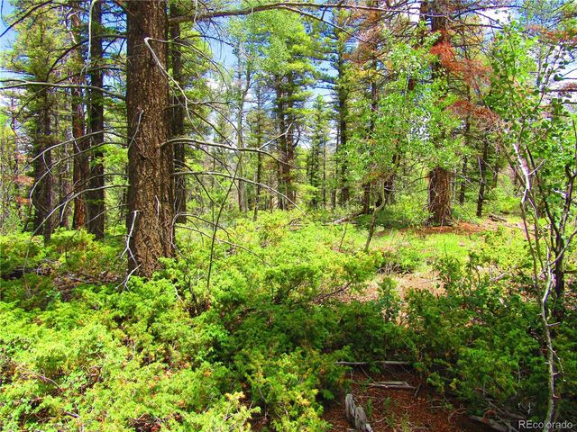 LOT 6082 Stella Road Road, San Luis, CO 81152