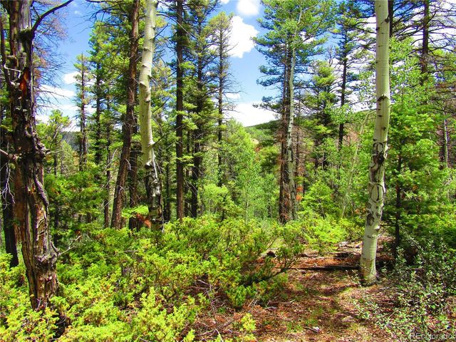 LOT 6082 Stella Road Road, San Luis, CO 81152