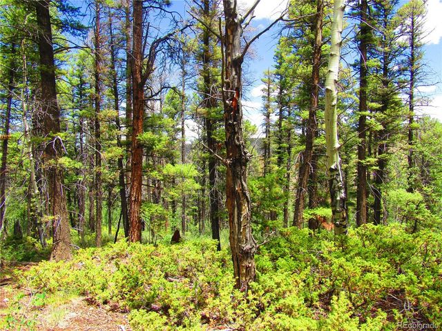 LOT 6082 Stella Road Road, San Luis, CO 81152