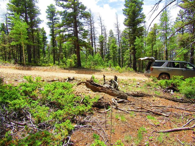 LOT 6082 Stella Road Road, San Luis, CO 81152