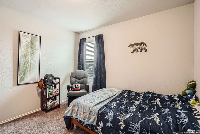 13039 Heathers Sun, St Hedwig, TX 78152