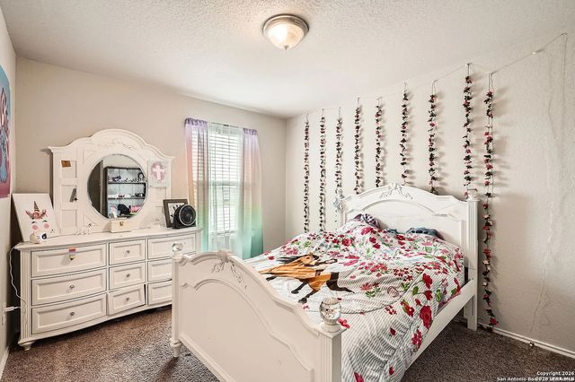 13039 Heathers Sun, St Hedwig, TX 78152