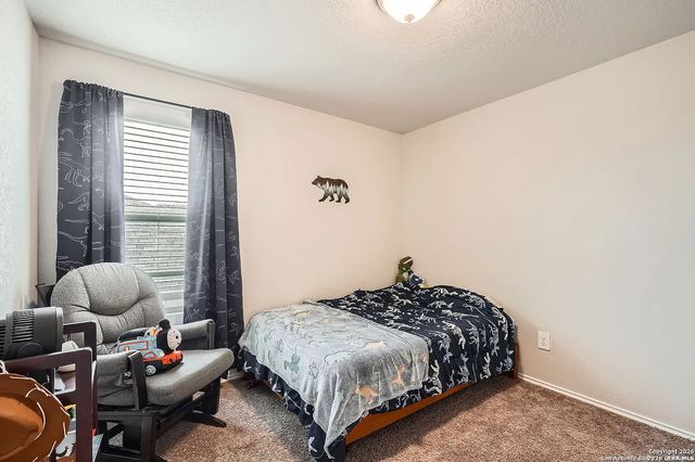 13039 Heathers Sun, St Hedwig, TX 78152